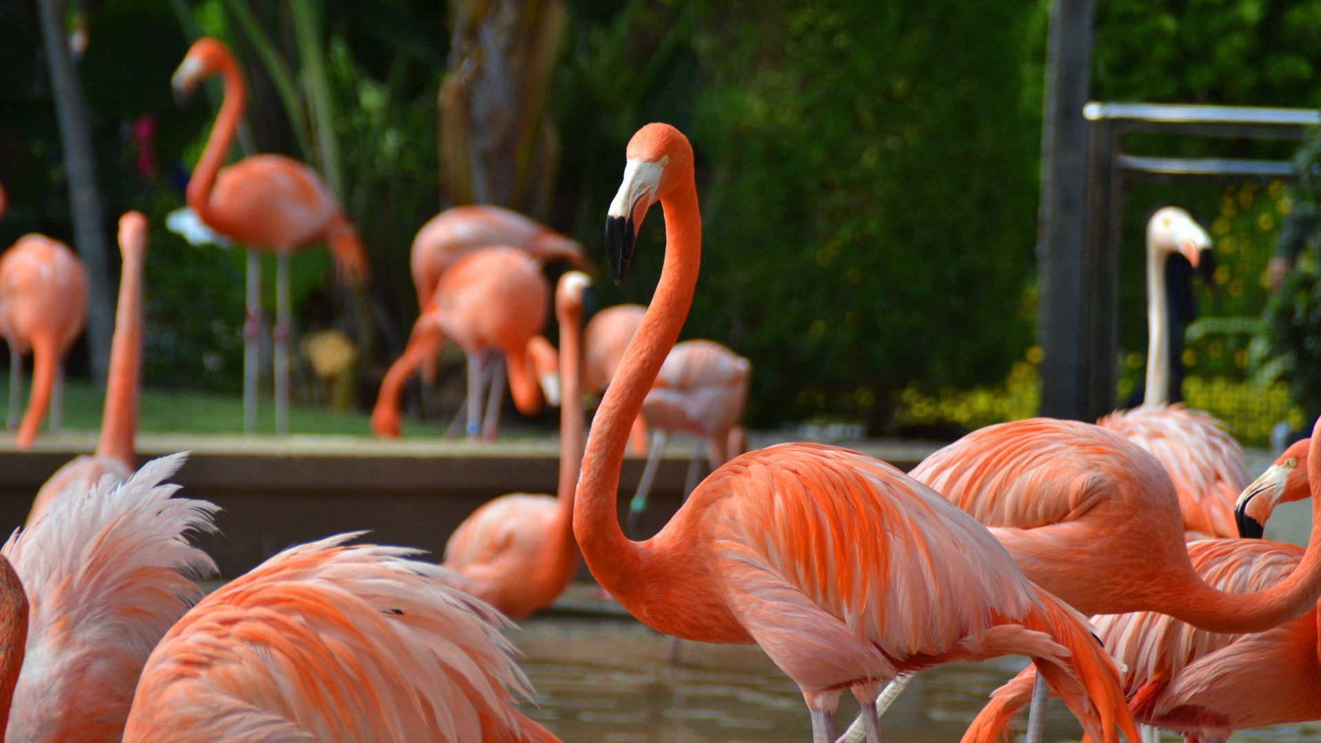 San Diego Zoo