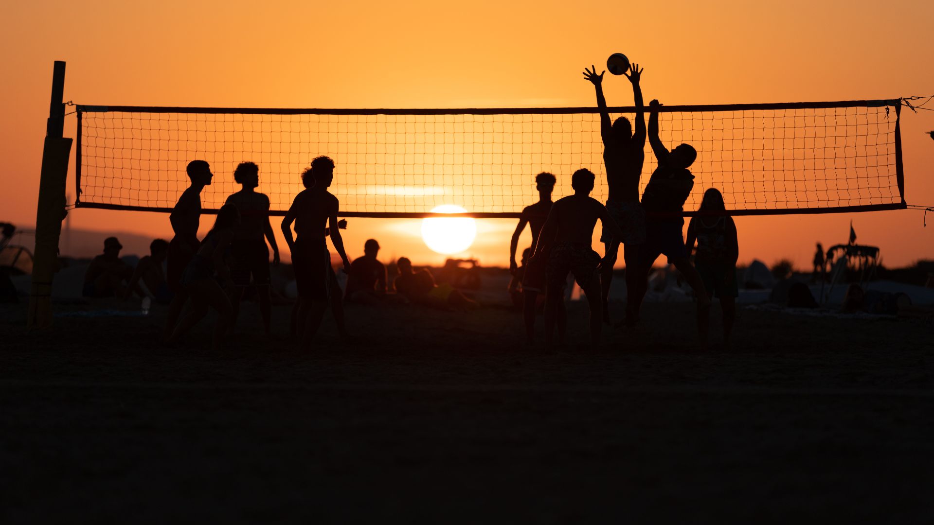 Volleyball Night